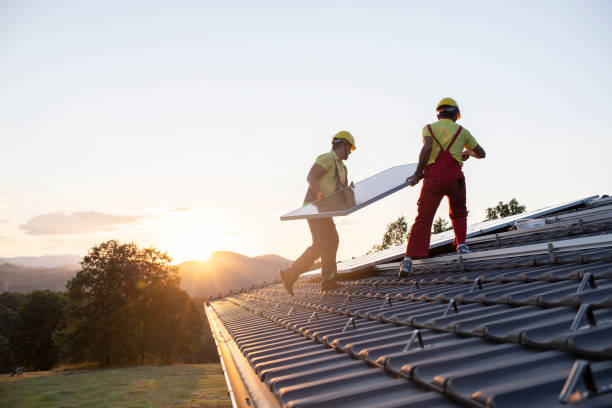 Best Chimney Flashing Repair  in Winter Springs, FL